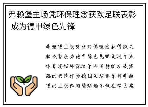 弗赖堡主场凭环保理念获欧足联表彰 成为德甲绿色先锋